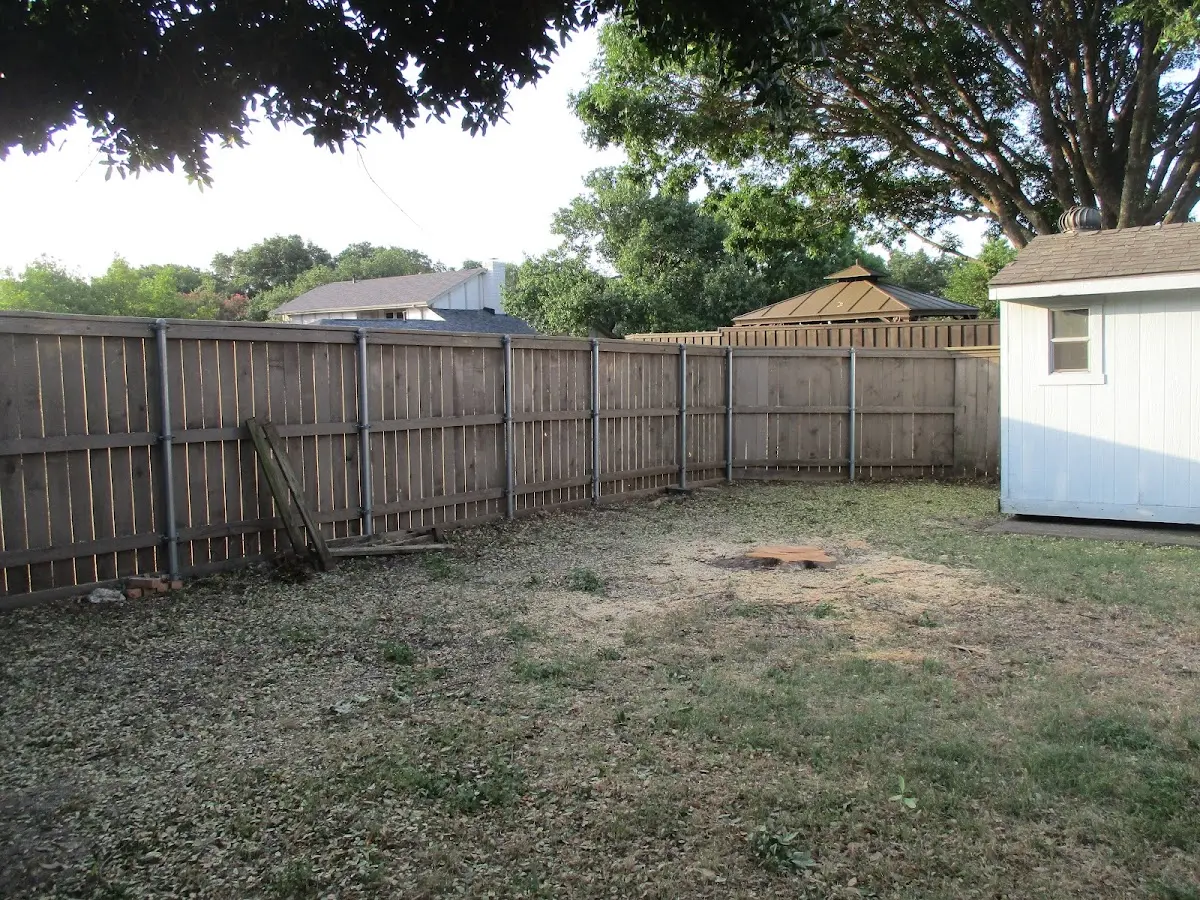 Cleared yard after professional tree removal in Omer